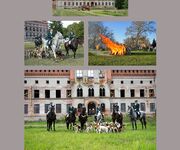 Schloss Broock Fotografen Günter Behnke, Thomas Lange und Mario Tschirn