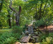 Gartenreich Wörlitz - Bildautor: Christian Bahl