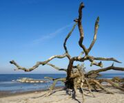 Bild des Monats April - Bildautor Jens Krause