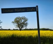 Bild des Monats Juni - Bildautor Hartmut Schmeling