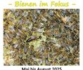 Summende Wunder - Bienen im Fokus, Bildautoren Mario Tschirn und Jürgen Rother
