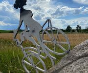 Bild des Monats Mai - Bildautor Simone Matthey