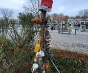 Bild des Monats Dezember - Bildautor Eberhard Schumacher