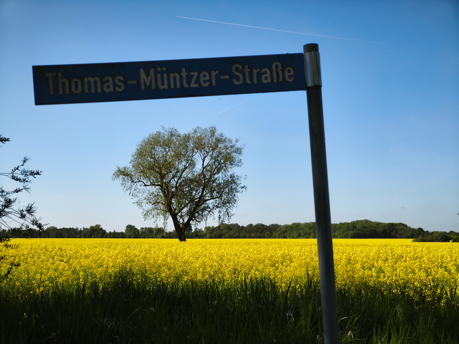 Juni - Bildautor Hartmut Schmeling